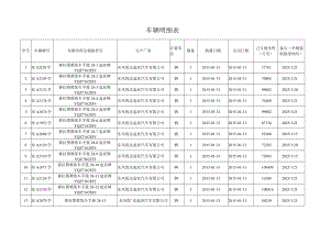 车辆明细表.docx