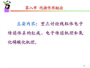 生物化学课件生物氧化.ppt