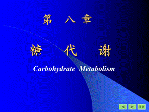 生物化学课件.ppt