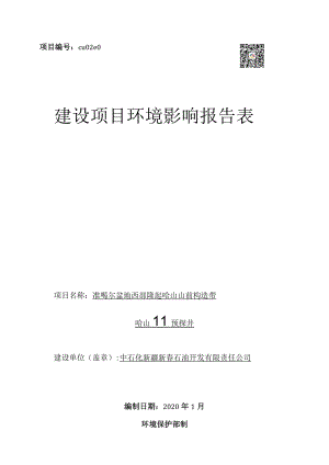 项目cu02e0建设项目环境影响报告表.docx