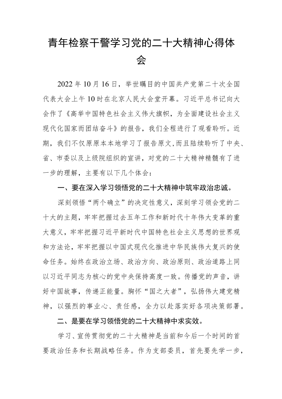 青年检察干警学习党的二十大精神心得体会.docx_第1页