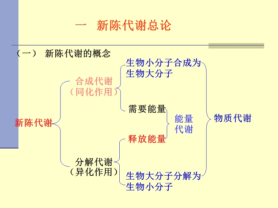 生物化学生物氧化课件.ppt_第3页