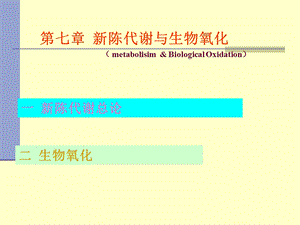 生物化学生物氧化课件.ppt