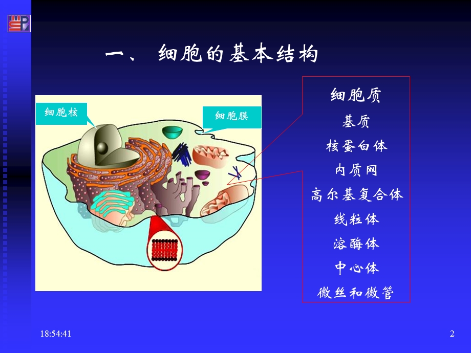 生理学细胞.ppt_第2页