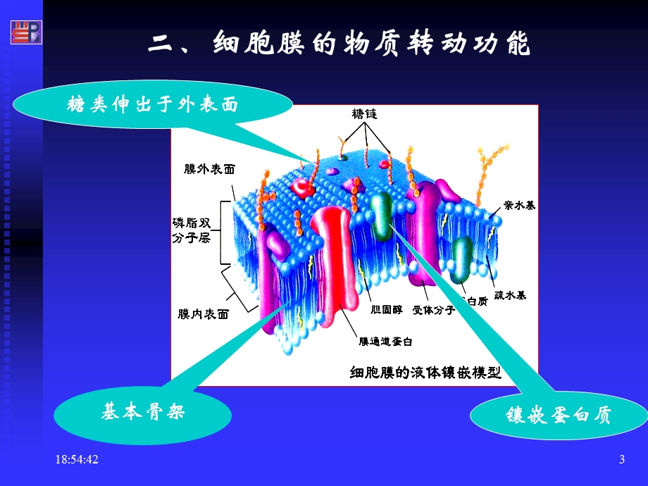 生理学细胞.ppt_第3页