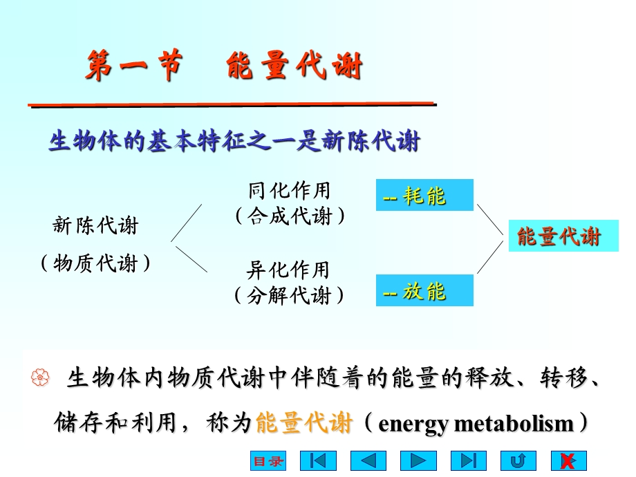 生理学能量代谢.ppt_第2页