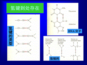 生物化学基础.ppt