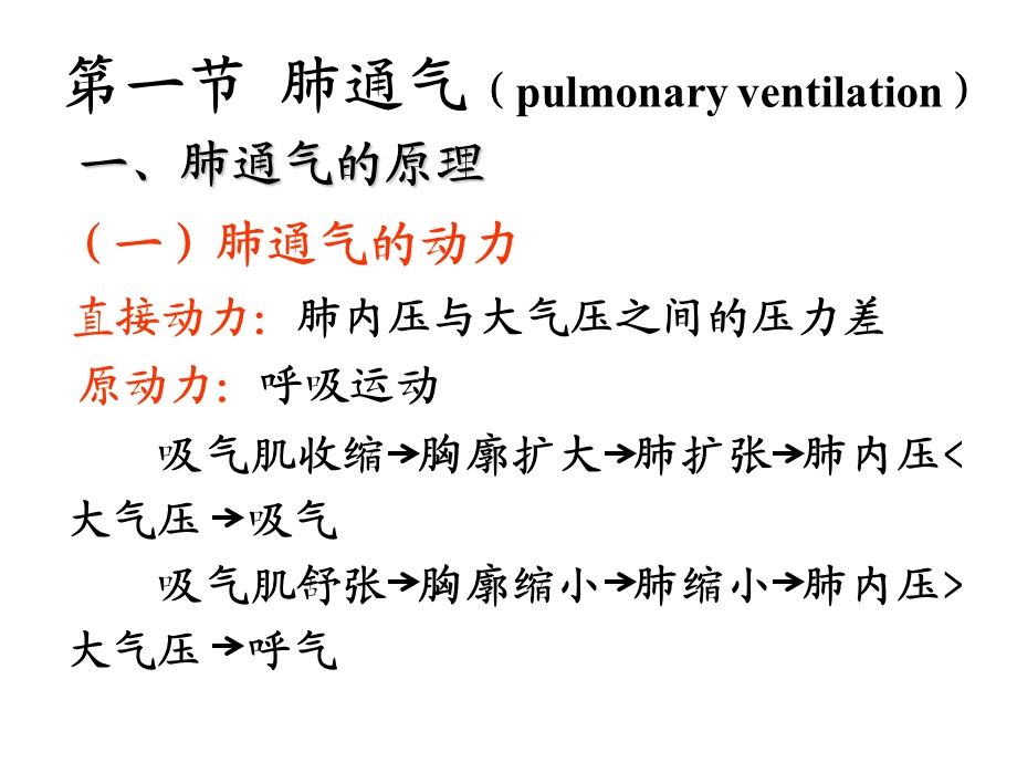 生理学课件呼吸.ppt_第3页