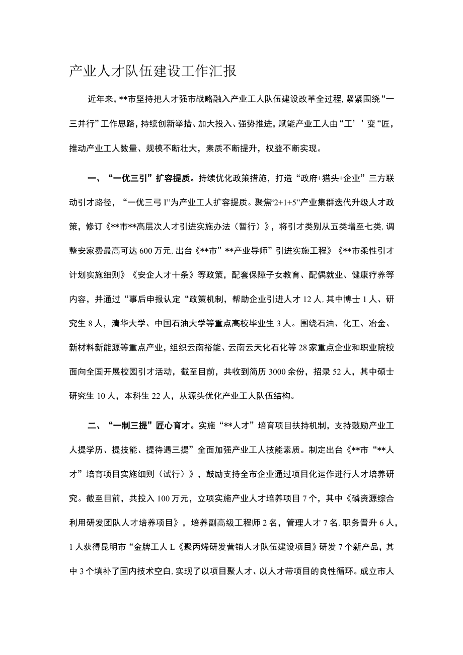 产业人才队伍建设工作汇报.docx_第1页