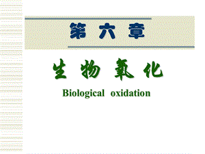 生物化学：生物氧化.ppt