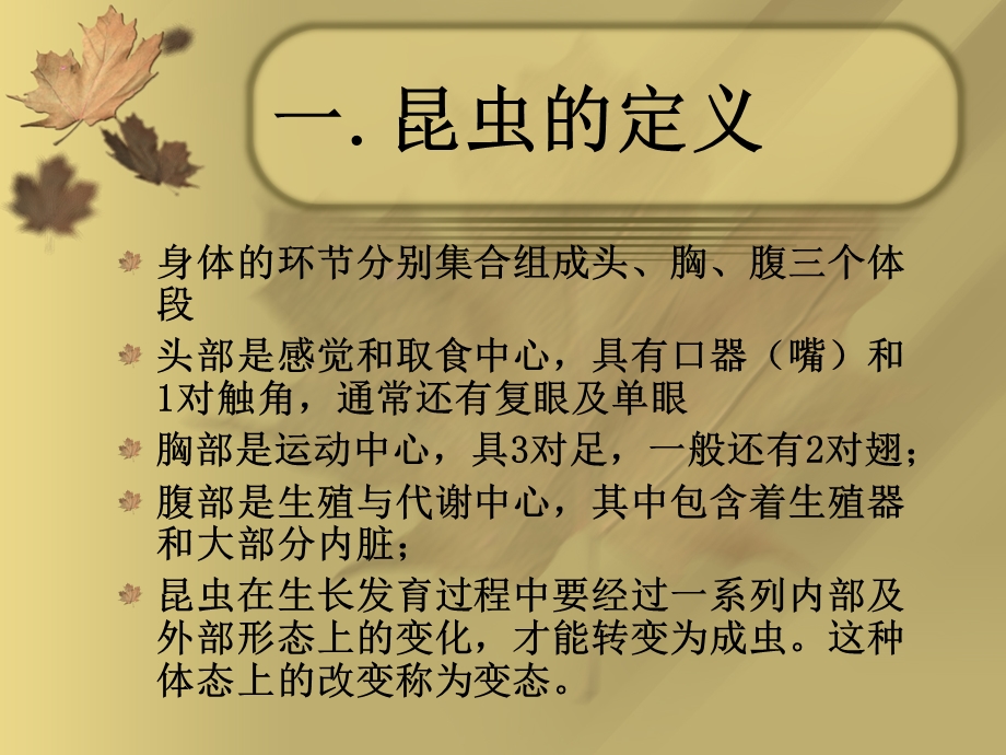 蜻蜓讲课课件.ppt_第2页