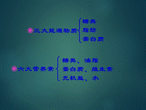 糖类有机化学.ppt