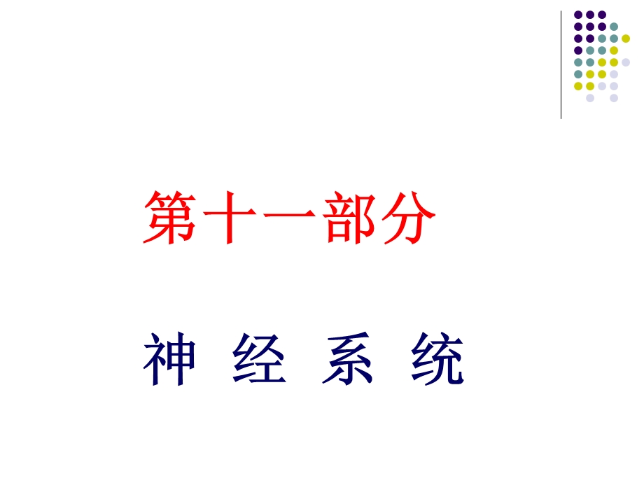 解剖生理学神经系统课件.ppt_第1页