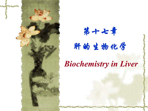 肝的生物化学.ppt