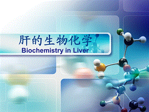 肝脏的生物化学.ppt