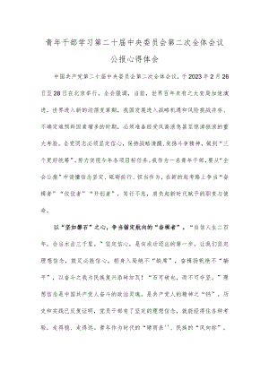 青年干部学习第二十届中央委员会第二次全体会议公报心得体会.docx