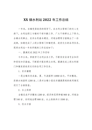 XX镇水利站2022年工作总结.docx