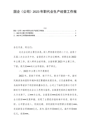 国企（公司）2023年职代会生产经营工作报告.docx