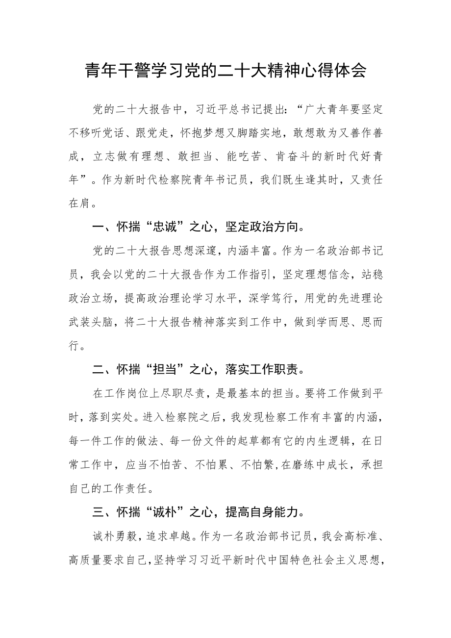 青年干警学习党的二十大精神心得体会.docx_第1页