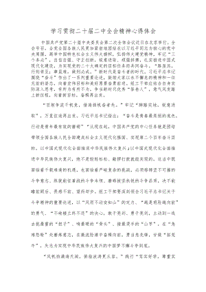 学习贯彻二十届二中全会精神心得体会.docx