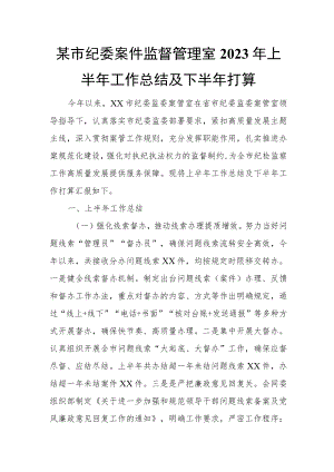 某市纪委案件监督管理室2023年上半年工作总结及下半年打算.docx