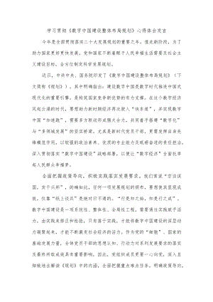 学习贯彻《数字中国建设整体布局规划》心得体会发言.docx