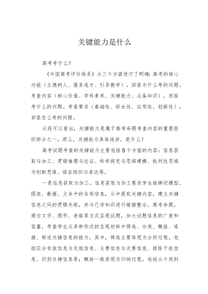 关键能力是什么.docx