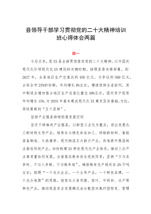 县领导干部学习贯彻党的二十大精神培训班心得体会两篇.docx