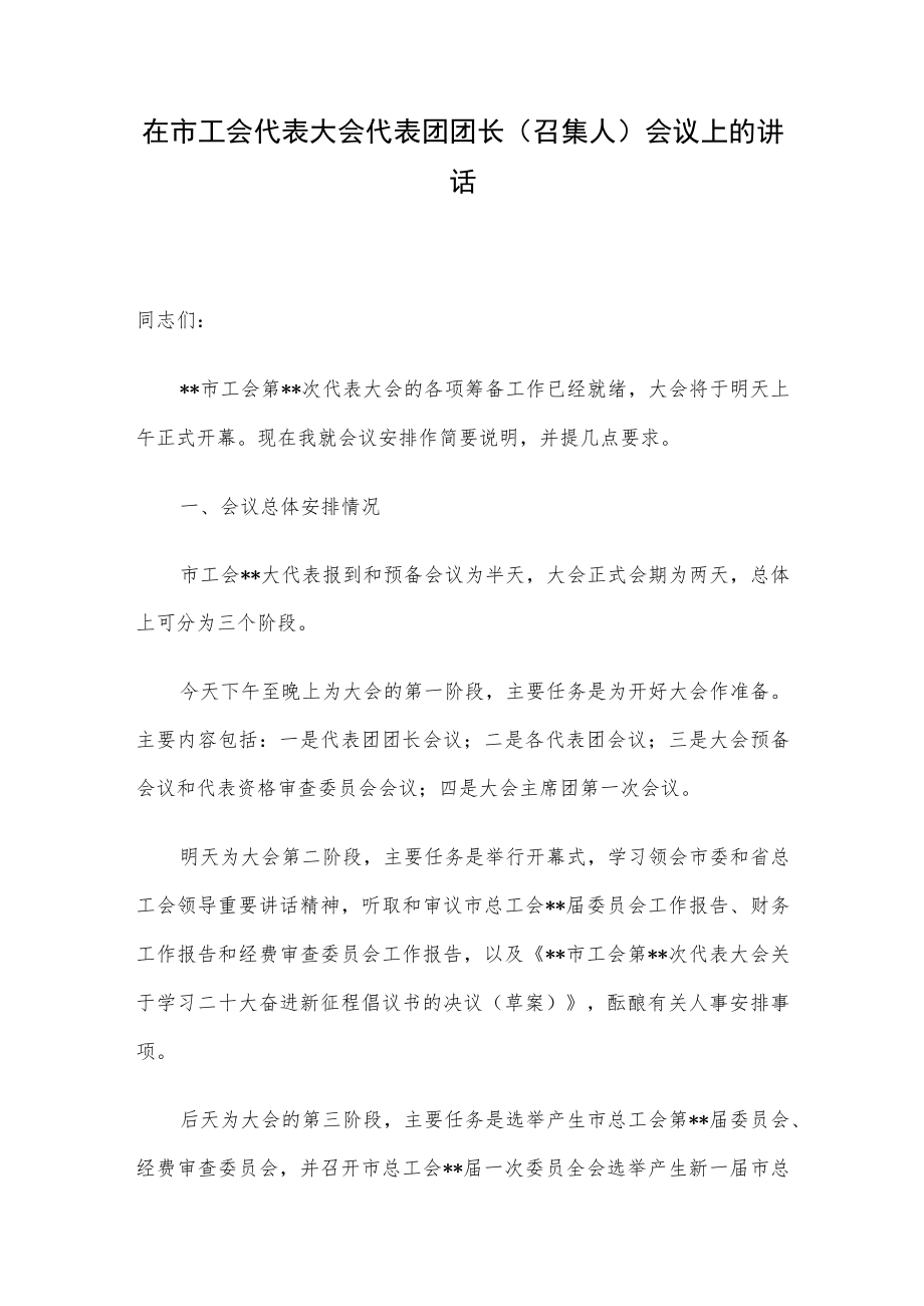 在市工会代表大会代表团团长（召集人）会议上的讲话.docx_第1页