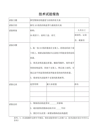 试验报告.docx