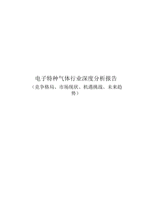 电子特种气体行业深度分析：竞争格局、市场现状、机遇挑战、未来趋势.docx