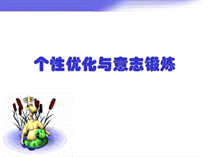 大学生个性心理.ppt