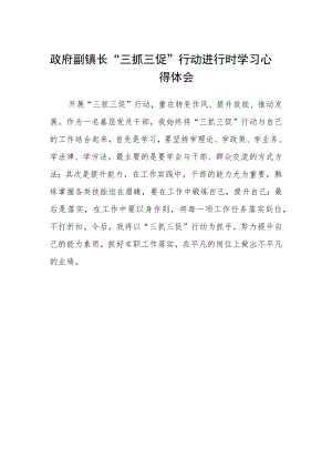 政府副镇长“三抓三促”行动进行时学习心得体会.docx