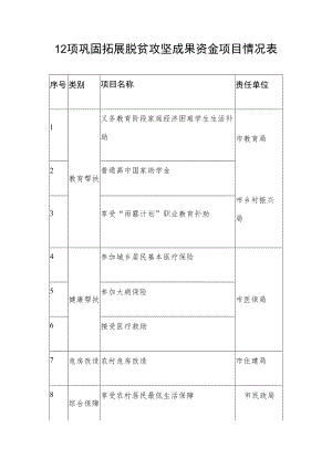 12项巩固拓展脱贫攻坚成果资金项目情况表.docx