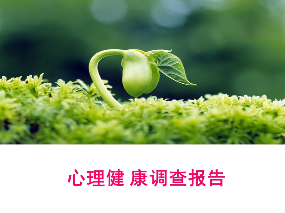 心理健康调查报告.ppt_第1页