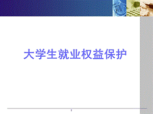 大学生就业权益保护.ppt