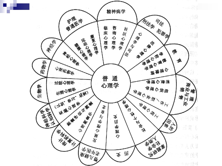 心理咨询师基础心理学上.ppt_第2页