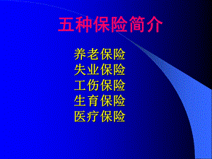 大连市社会保险政策.ppt