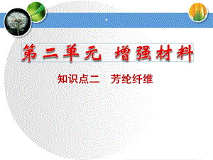 知识点三芳纶纤维.ppt