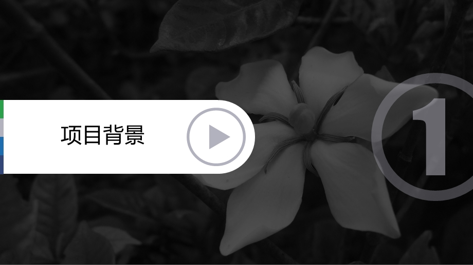 植物解剖虚拟实验室.ppt_第2页