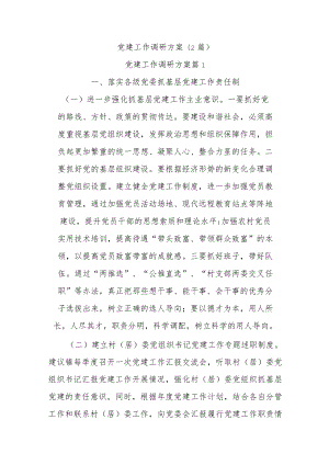 (2篇)党建工作调研方案.docx