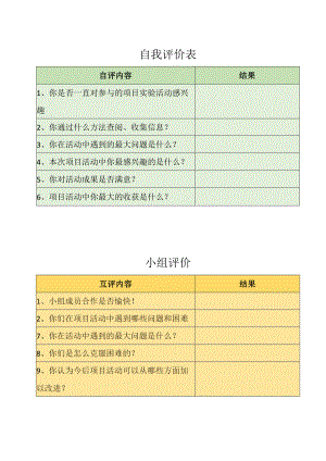 自我评价表与小组合作.docx