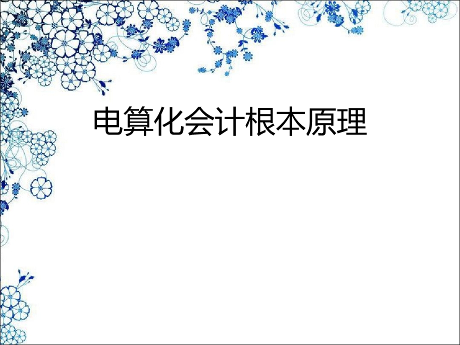 电算化会计基本原理.ppt_第1页