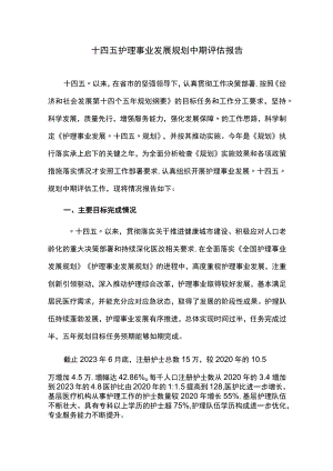 十四五护理事业发展规划中期评估报告.docx