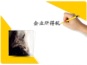 最新版企业所得税PPT.ppt