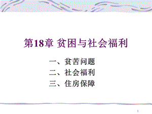 贫困与社会福利综述.ppt