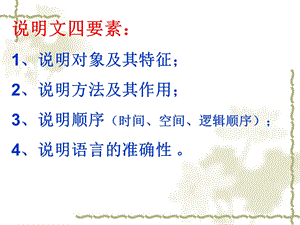 说明文知识点.ppt