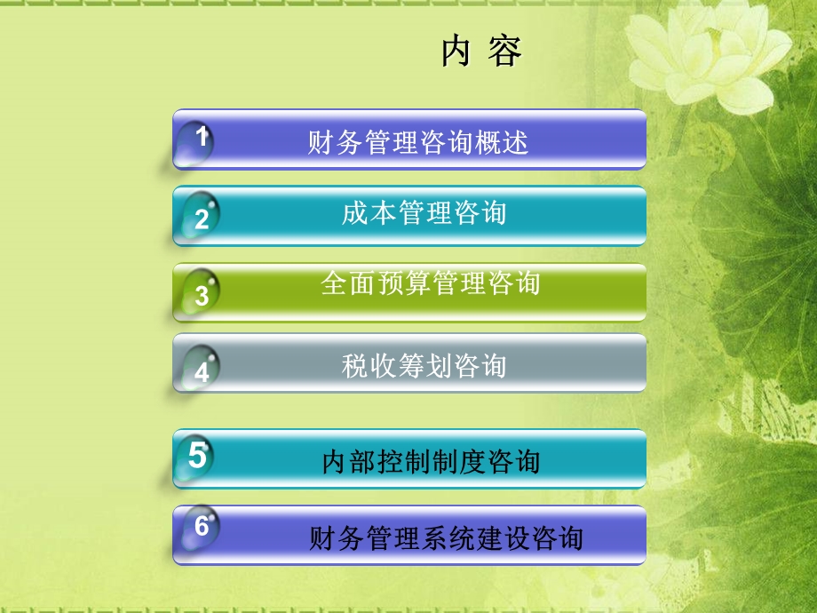 财务管理咨询.ppt_第2页