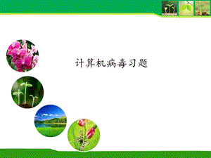 计算机病毒试题.ppt