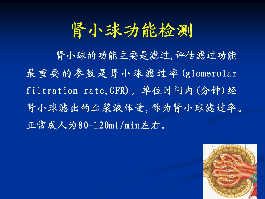 诊断学肾脏实验室检查.ppt_第3页